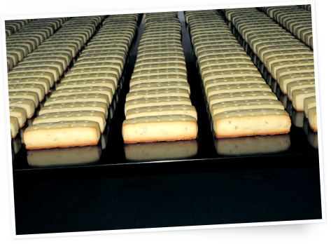 カロリーメイト バーチャル工場見学 大塚製薬