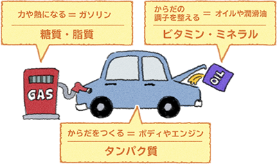 マメ知識 カロリーメイト 大塚製薬 マメ知識 カロリーメイト 大塚製薬