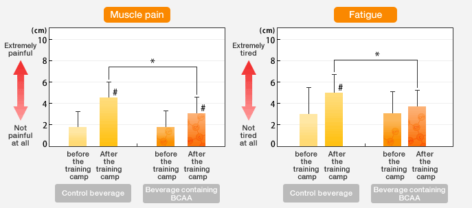 BCAA and muscle inflammation