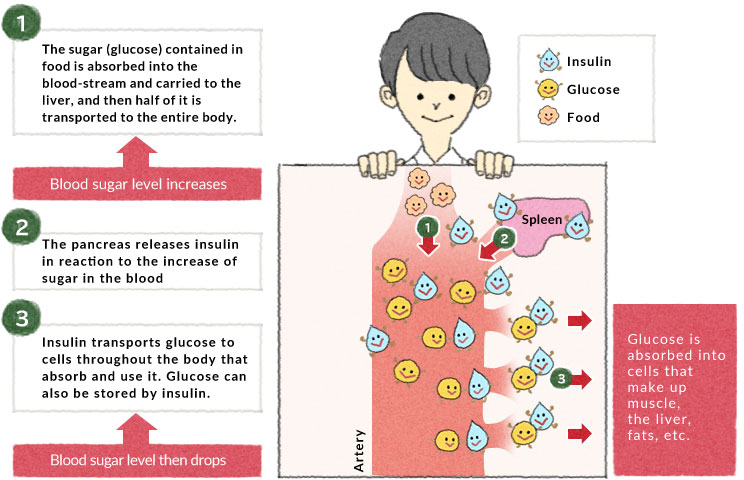 Sugar Level Chart In Food