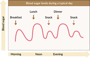 Diet and blood sugar spikes