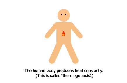 The human body produces heat constantly. (This is called "thermogenesis.")