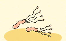 Get your healthy stomach back