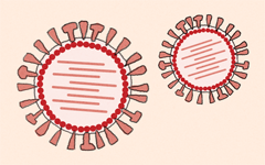 Influenza Virus Pathogen And Clinical Presentation Otsuka