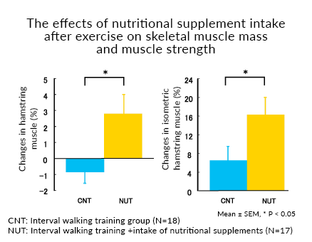 The effects of nutritional supplement intake after exercise on skeletal muscle mass and muscle strength