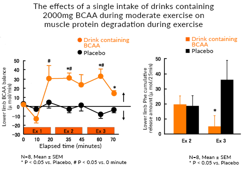 The effects of a single intake of drinks containing 2000mg BCAA during moderate exercise on muscle protein degradation during exercise