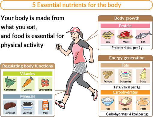 5 Essential nutrients for the body