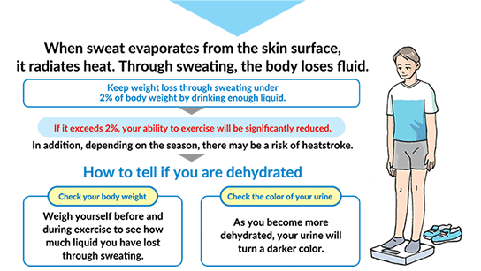 Tips To Prevent Dehydration During Summer Sports Ctv News
