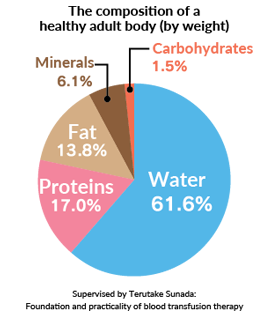 The composition of a healthy adult body (by weight)