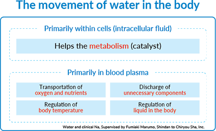 The movement of water in the body
