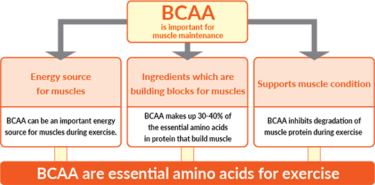 the function of bcaas