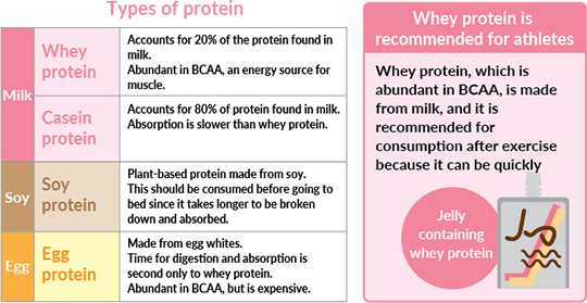 Protein: Importance and Why Your Body Needs It 