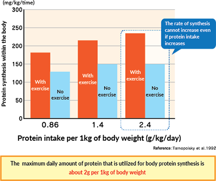 Proteins: building blocks of the body