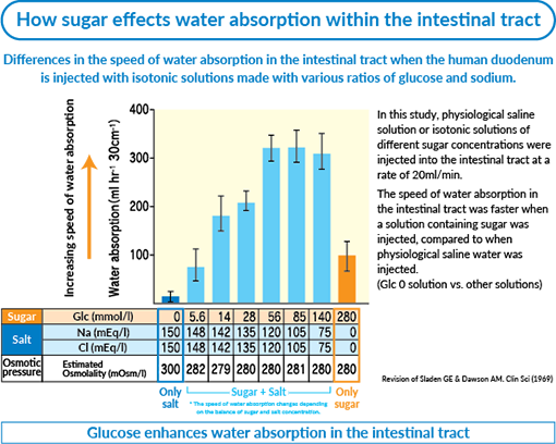 How sugar effects water absorption within the intestinal tract