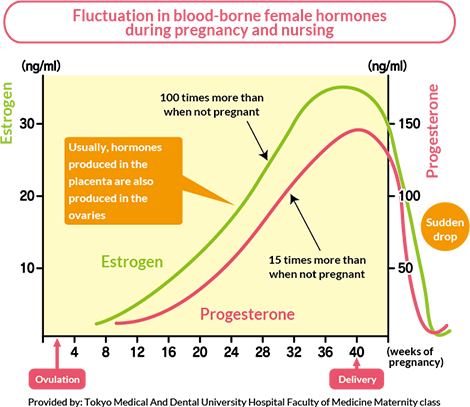 Fluctuation in blood-borne female hormones during pregnancy and nursing