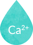 Ca2+