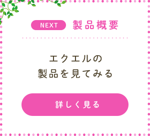 １．製品概要 エクエルの商品を見てみる
