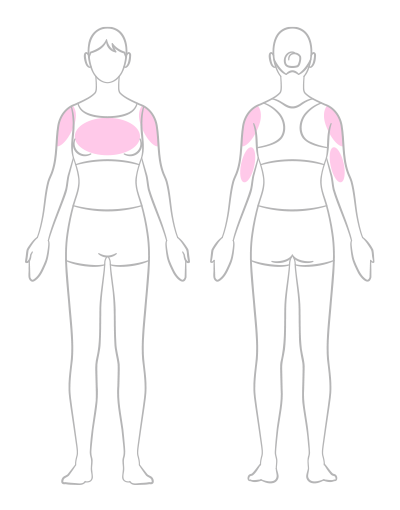 【メリハリのある上半身のための筋トレ①】 机で腕立て伏せ/筋肉先生・谷本道哉さんの【1回1分美筋トレ】美しい私への道
