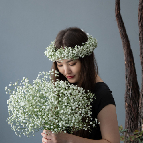 シロツメクサや千日紅を素朴に紡いだ 昔懐かしい 花かんむり ドライフラワー 北欧 E Atai Houfu Na ヘッドドレス ドレス Wsimarketingedge Com