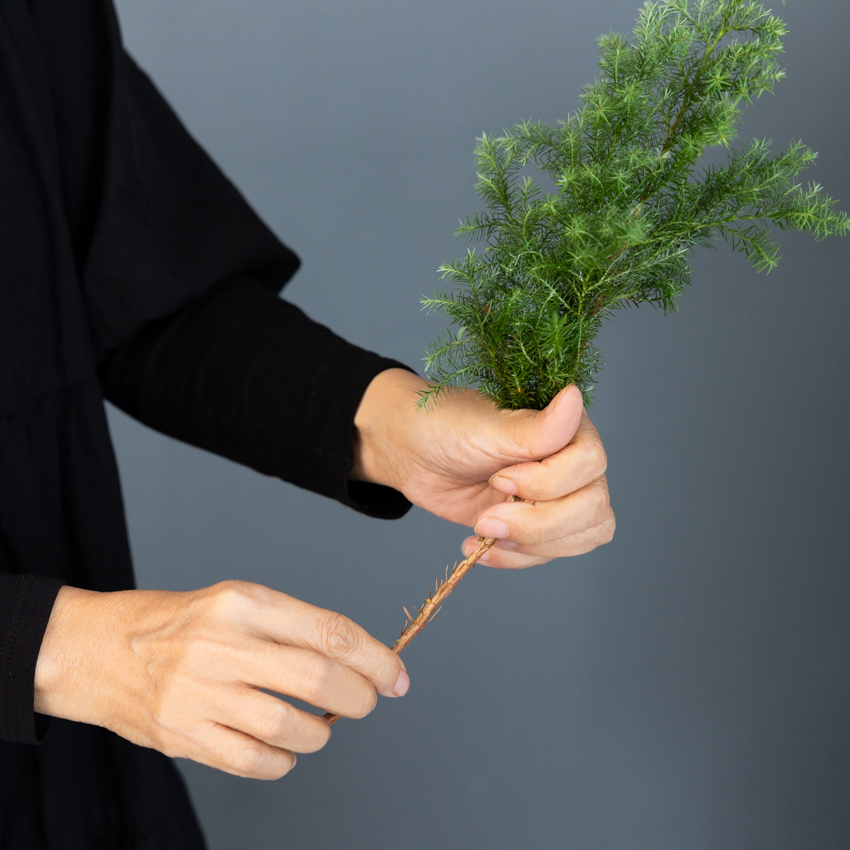 第60回　針葉樹のブーケ／北欧フラワーデザイン協会・ヘンティネン・クミさんの【フィンランド花通信】