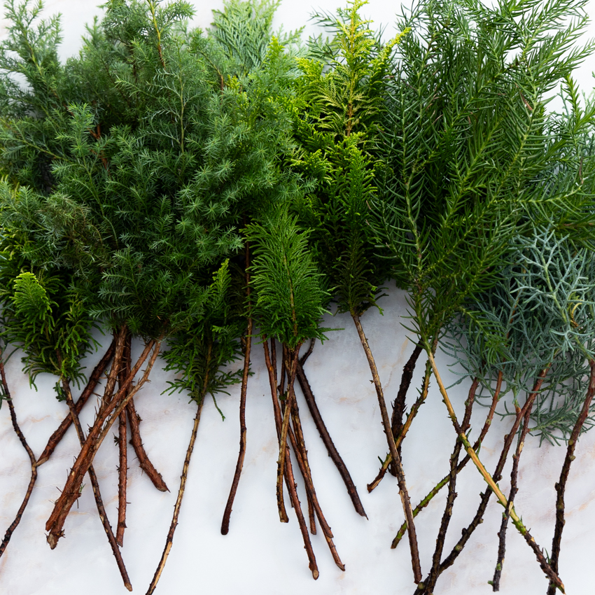 第60回　針葉樹のブーケ／北欧フラワーデザイン協会・ヘンティネン・クミさんの【フィンランド花通信】