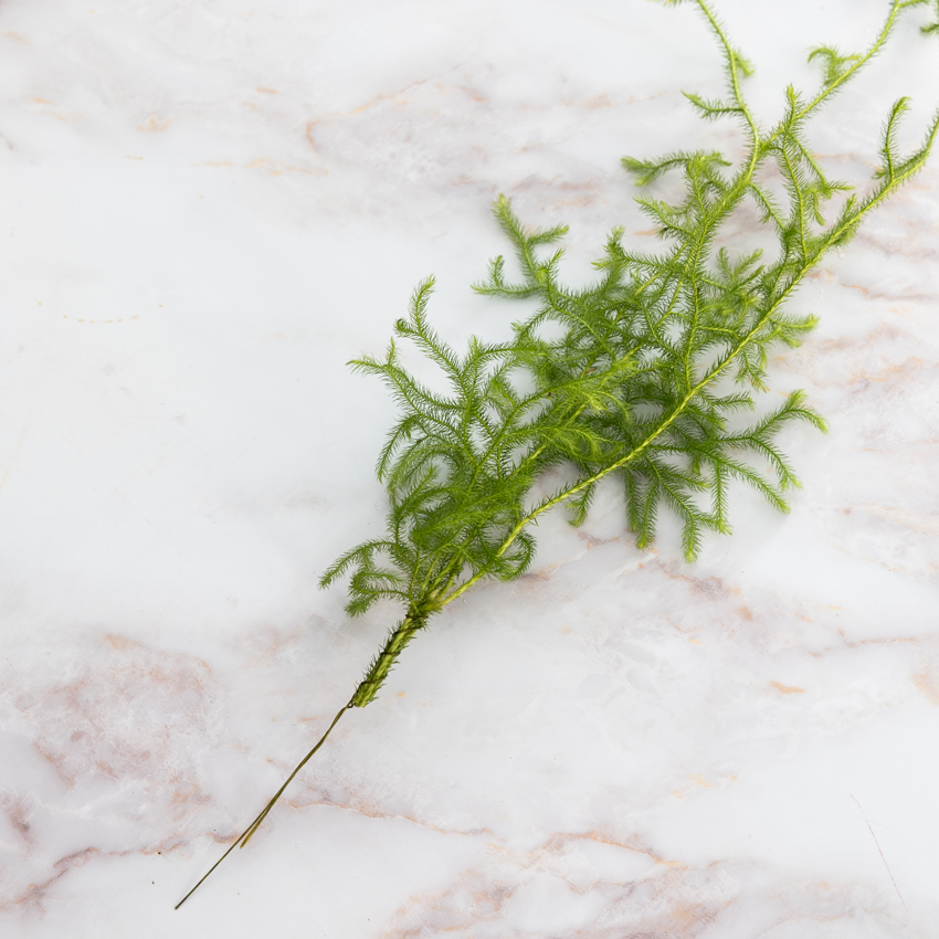 第61回　この新年は、北欧風のスワッグで／北欧フラワーデザイン協会・ヘンティネン・クミさんの【フィンランド花通信】