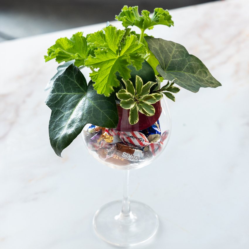 第62回 チョコ×花でバレンタインサプライズ/北欧フラワーデザイン協会・ヘンティネン・クミさんの【フィンランド花通信】