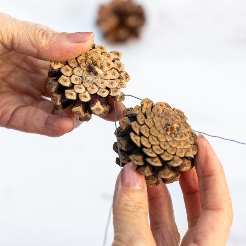 第63回　マツカサで作るフラワーバスケット／北欧フラワーデザイン協会・ヘンティネン・クミさんの【フィンランド花通信】