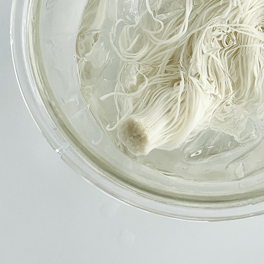 第59回 きゅうりの翡翠めんつゆ素麺/菓子研究家・福田里香さん の【台所はいつもセレンディピティ】