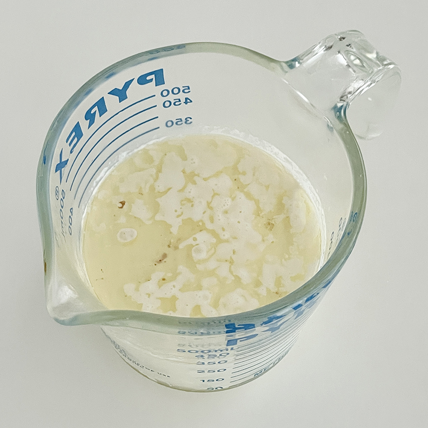 第69回 スウェーデン式アンチョビグラタン/菓子研究家・福田里香さん の【台所はいつもセレンディピティ】