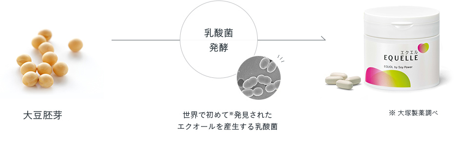 大豆（胚芽）→ 乳酸菌発酵※ → エクエル