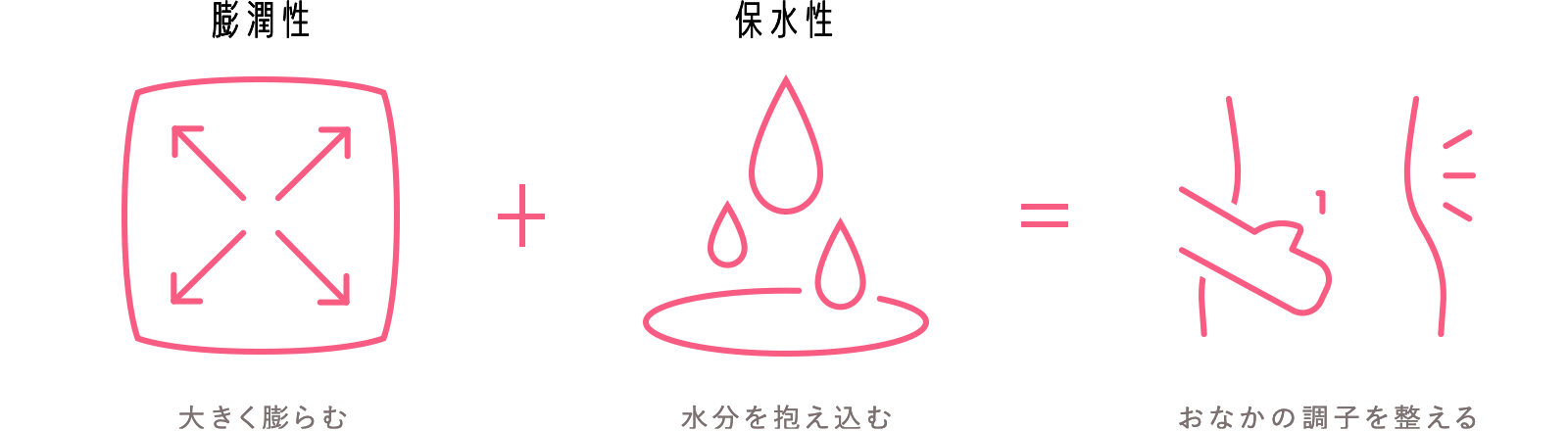 食物センイは、おなかの調子を整える