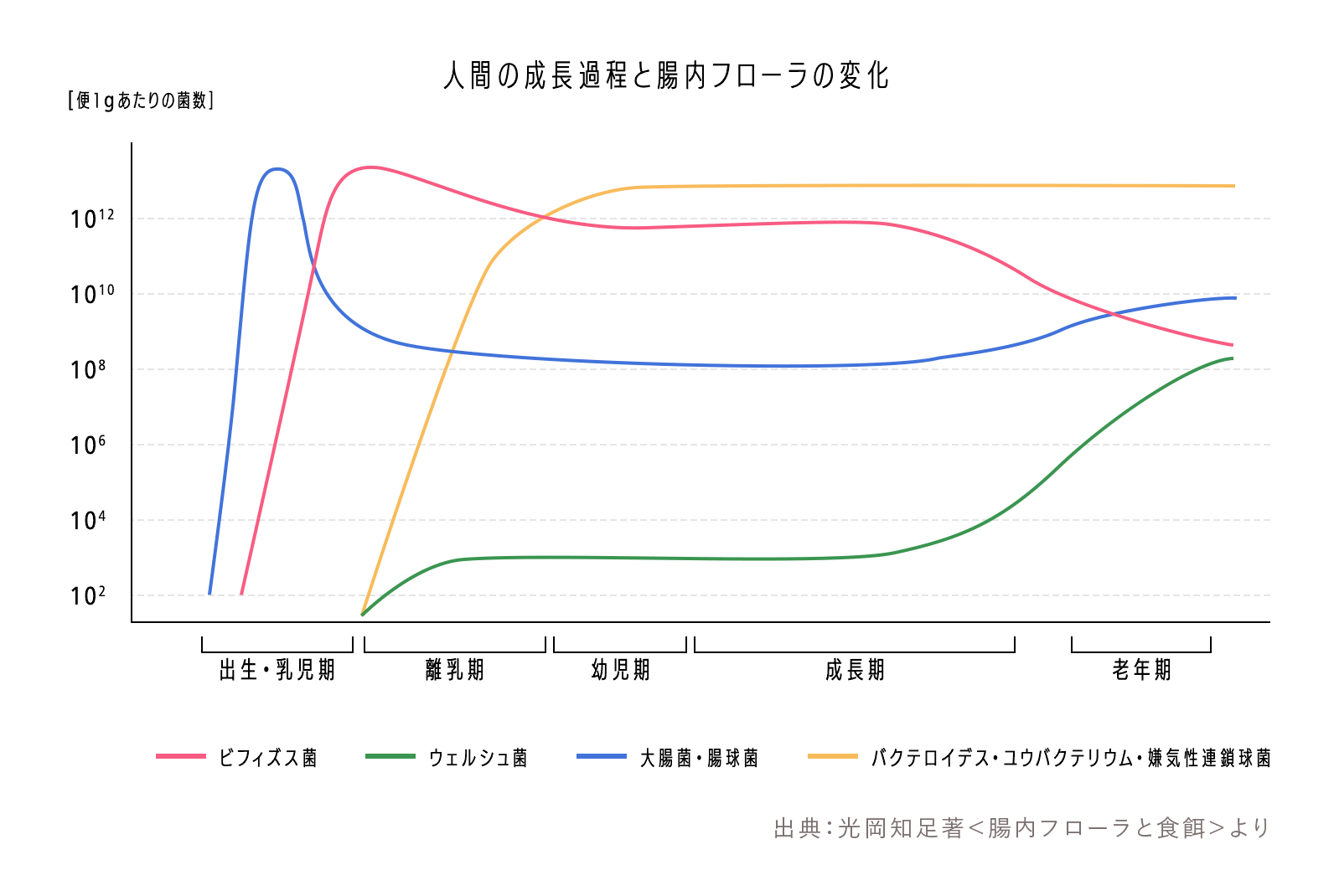 人の成長過程と腸内フローラの変化