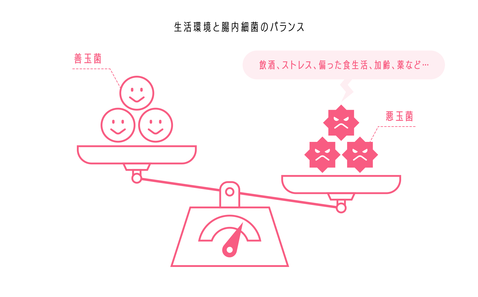 食物繊維の摂取と悪玉菌の数の違い