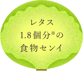 レタス1.8個分※の食物センイ