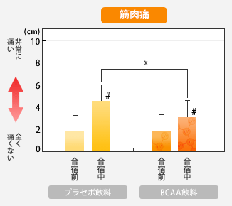 痛 は 筋肉 と 実は知らない筋肉痛！ なぜ起こる？