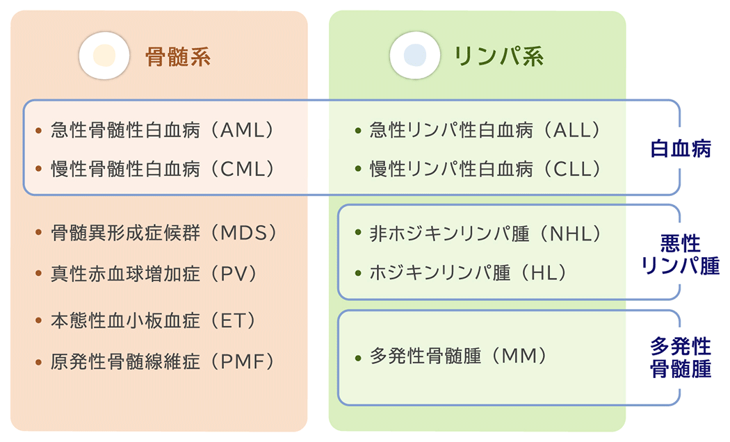 骨髄系 急性骨髄性白血病（AML） 慢性骨髄性白血病（CML） 骨髄異形成症候群（MDS） 真性赤血球増加症（PV） 本態性血小板血症（ET） 原発性骨髄線維症（PMF） リンパ系 急性リンパ性白血病（ALL） 慢性リンパ性白血病（CLL） 非ホジキンリンパ腫（NHL） ホジキンリンパ腫（HL） 多発性骨髄腫（MM）