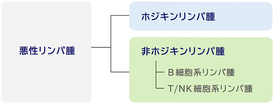 悪性リンパ腫 ホジキンリンパ腫 非ホジキンリンパ腫 B細胞系リンパ腫 T/NK細胞系リンパ腫