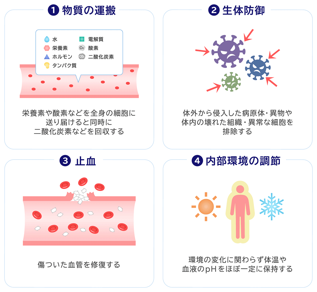 1.物質の運搬 栄養素や酸素などを全身の細胞に送り届けると同時に二酸化炭素などを回収する 2.生体防御 体外から侵入した病原体・異物や体内の壊れた組織・異常な細胞を排除する 3.止血 傷ついた血管を修復する 4.内部環境の調節 環境の変化に関わらず体温や血液のpHをほぼ一定に保持する