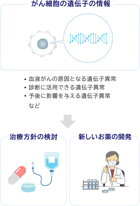 がん細胞の遺伝子の情報 血液がんの原因となる遺伝子異常 診断に活用できる遺伝子異常 予後に影響を与える遺伝子異常など 治療方針の検討 新しいお薬の開発