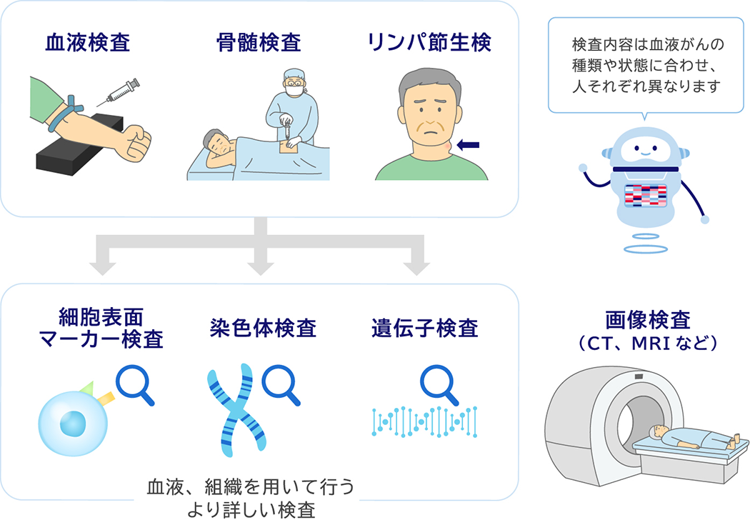 血液検査 骨髄検査 リンパ節生検 細胞表面マーカー検査 染色体検査 遺伝子検査 血液、組織を用いて行うより詳しい検査 画像検査（CT、MRIなど） 検査内容は血液がんの種類や状態に合わせ、人それぞれ異なります