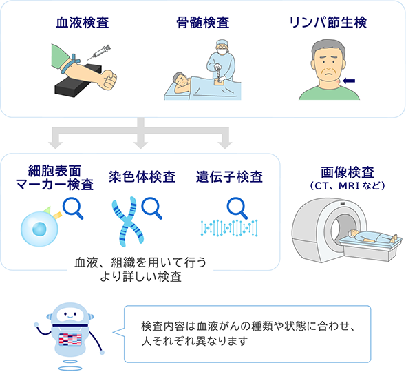 血液検査 骨髄検査 リンパ節生検 細胞表面マーカー検査 染色体検査 遺伝子検査 血液、組織を用いて行うより詳しい検査 画像検査（CT、MRIなど） 検査内容は血液がんの種類や状態に合わせ、人それぞれ異なります