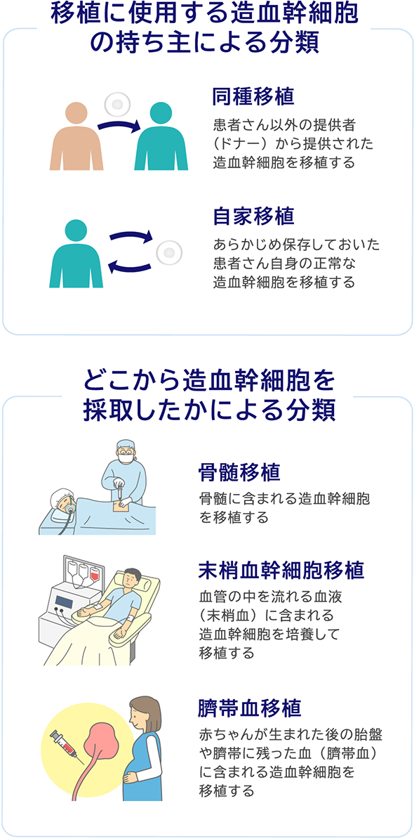 移植に使用する造血幹細胞の持ち主による分類 同種移植 患者さん以外の提供者（ドナー）から提供された造血幹細胞を移植する 自家移植 あらかじめ保存しておいた患者さん自身の正常な造血幹細胞を移植する どこから造血幹細胞を採取したかによる分類 骨髄移植 骨髄に含まれる造血幹細胞を移植する 末梢血幹細胞移植 血管の中を流れる血液（末梢血）に含まれる造血幹細胞を培養して移植する 臍帯血移植 赤ちゃんが生まれた後の胎盤や臍帯に残った血（臍帯血）に含まれる造血幹細胞を移植する