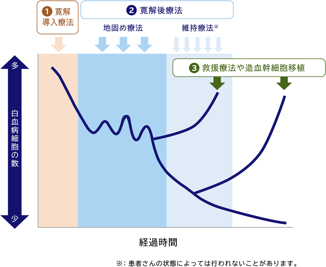 1.寛解導入療法 2.寛解後療法 地固め療法 維持療法 ※患者さんの状態によっては行われないことがあります。 3.救援療法や造血幹細胞移植