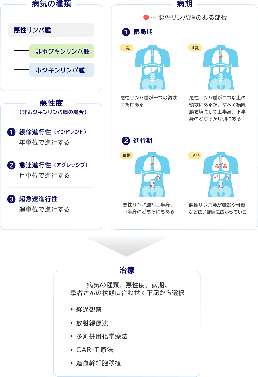 病気の種類 悪性リンパ腫 非ホジキンリンパ腫 ホジキンリンパ腫 悪性度（非ホジキンリンパ腫の場合） ①緩徐進行性 （インドレント） 年単位で進行する ②急速進行性（アグレッシブ） 月単位で進行する ③超急速進行性 週単位で進行する 病期 赤い丸 悪性リンパ腫のある部位 ①限局期 Ⅰ期 悪性リンパ腫が一つの領域にだけある Ⅱ期 悪性リンパ腫が二つ以上の領域にあるが、すべて横隔膜を境にして上半身、下半身のどちらか片側にある ②進行期 Ⅲ期 悪性リンパ腫が上半身、下半身のどちらにもある Ⅳ期 悪性リンパ腫が臓器や骨髄など広い範囲に広がっている 治療 病気の種類、悪性度、病期、患者さんの状態に合わせて下記から選択 ・経過観察 ・放射線療法 ・多剤併用化学療法 ・CAR-T療法 ・造血幹細胞移植