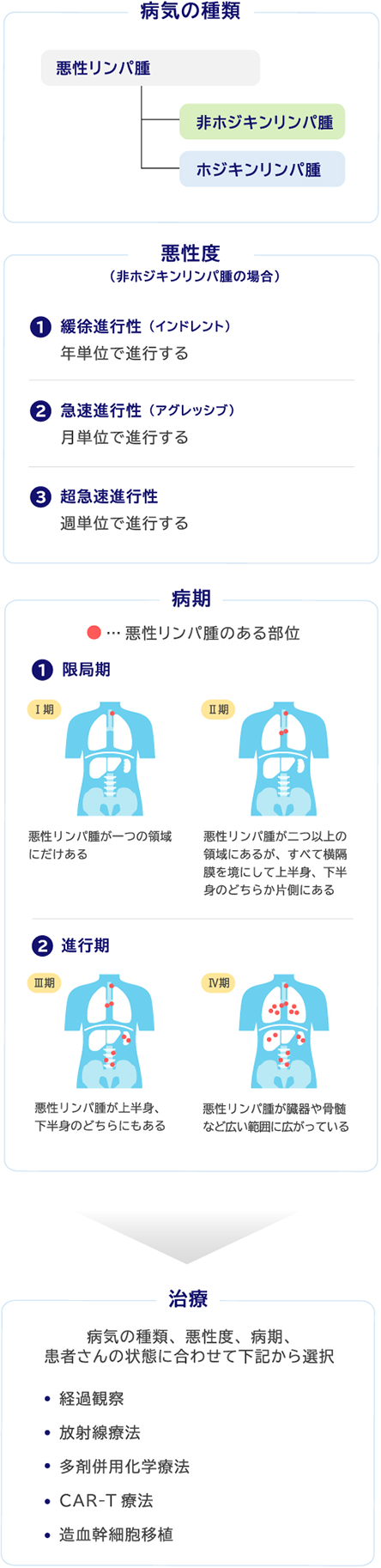 病気の種類 悪性リンパ腫 非ホジキンリンパ腫 ホジキンリンパ腫 悪性度（非ホジキンリンパ腫の場合） ①緩徐進行性 （インドレント） 年単位で進行する ②急速進行性（アグレッシブ） 月単位で進行する ③超急速進行性 週単位で進行する 病期 赤い丸 悪性リンパ腫のある部位 ①限局期 Ⅰ期 悪性リンパ腫が一つの領域にだけある Ⅱ期 悪性リンパ腫が二つ以上の領域にあるが、すべて横隔膜を境にして上半身、下半身のどちらか片側にある ②進行期 Ⅲ期 悪性リンパ腫が上半身、下半身のどちらにもある Ⅳ期 悪性リンパ腫が臓器や骨髄など広い範囲に広がっている 治療 病気の種類、悪性度、病期、患者さんの状態に合わせて下記から選択 ・経過観察 ・放射線療法 ・多剤併用化学療法 ・CAR-T療法 ・造血幹細胞移植