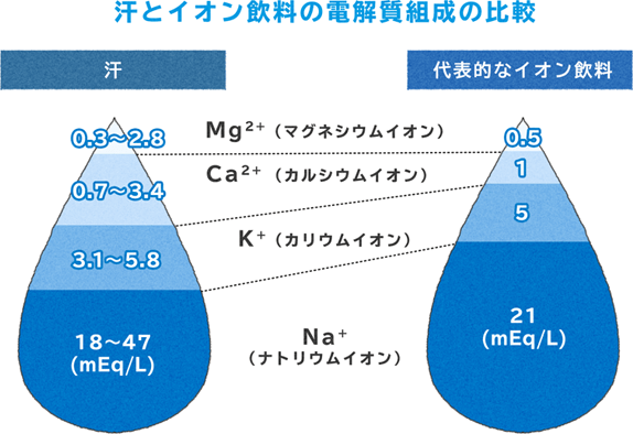 汗とイオン飲料の電解質組成の比較