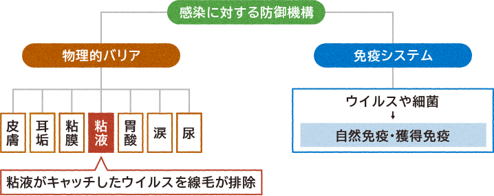 感染に対する防御機構