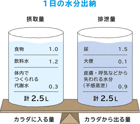 1日の水分出納