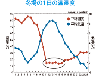 冬場の1日の温湿度